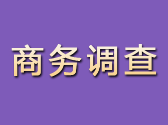 平顶山商务调查